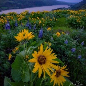 Meet your Posher, Milla